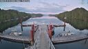 ./images/calvert/dock/20260529/dock20260529_213502M.jpg