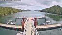 ./images/calvert/dock/20260530/dock20260530_131001M.jpg