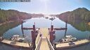 ./images/calvert/dock/20260602/dock20260602_083001M.jpg