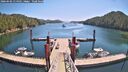 ./images/calvert/dock/20260602/dock20260602_114501M.jpg