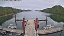 ./images/calvert/dock/20260603/dock20260603_113501M.jpg