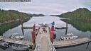 ./images/calvert/dock/20260603/dock20260603_125002M.jpg