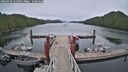 ./images/calvert/dock/20260603/dock20260603_154501M.jpg