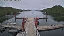 ./images/calvert/dock/20260603/dock20260603_163001M.jpg