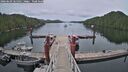 ./images/calvert/dock/20260603/dock20260603_165501M.jpg