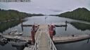 ./images/calvert/dock/20260603/dock20260603_170001M.jpg