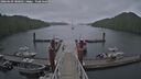 ./images/calvert/dock/20260603/dock20260603_180501M.jpg