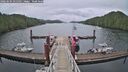 ./images/calvert/dock/20260604/dock20260604_055501M.jpg