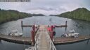./images/calvert/dock/20260604/dock20260604_060001M.jpg