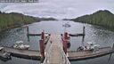 ./images/calvert/dock/20260604/dock20260604_072001M.jpg