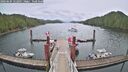 ./images/calvert/dock/20260604/dock20260604_122001M.jpg