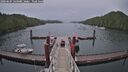 ./images/calvert/dock/20260604/dock20260604_144001M.jpg