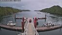 ./images/calvert/dock/20260604/dock20260604_145501M.jpg