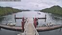 ./images/calvert/dock/20260604/dock20260604_150501M.jpg