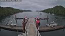 ./images/calvert/dock/20260604/dock20260604_153501M.jpg