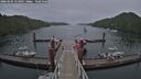./images/calvert/dock/20260604/dock20260604_154002M.jpg