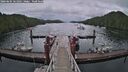 ./images/calvert/dock/20260604/dock20260604_161002M.jpg