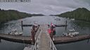 ./images/calvert/dock/20260604/dock20260604_165501M.jpg