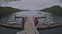 ./images/calvert/dock/20260604/dock20260604_170002M.jpg