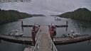 ./images/calvert/dock/20260604/dock20260604_170501M.jpg