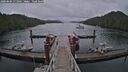 ./images/calvert/dock/20260604/dock20260604_171001M.jpg