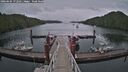 ./images/calvert/dock/20260604/dock20260604_172501M.jpg