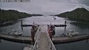 ./images/calvert/dock/20260604/dock20260604_173002M.jpg