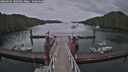 ./images/calvert/dock/20260604/dock20260604_180501M.jpg