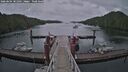 ./images/calvert/dock/20260604/dock20260604_181502M.jpg