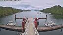 ./images/calvert/dock/20260604/dock20260604_192501M.jpg