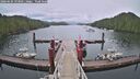 ./images/calvert/dock/20260604/dock20260604_193001M.jpg