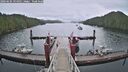 ./images/calvert/dock/20260604/dock20260604_194001M.jpg