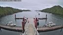 ./images/calvert/dock/20260604/dock20260604_200002M.jpg