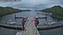 ./images/calvert/dock/20260605/dock20260605_051001M.jpg