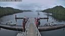 ./images/calvert/dock/20260605/dock20260605_053001M.jpg