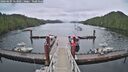 ./images/calvert/dock/20260605/dock20260605_063001M.jpg