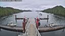 ./images/calvert/dock/20260605/dock20260605_063501M.jpg