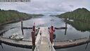 ./images/calvert/dock/20260605/dock20260605_082501M.jpg