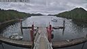 ./images/calvert/dock/20260605/dock20260605_095002M.jpg