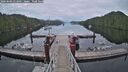 ./images/calvert/dock/20260606/dock20260606_052001M.jpg