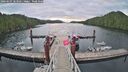 ./images/calvert/dock/20260607/dock20260607_063501M.jpg