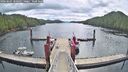 ./images/calvert/dock/20260607/dock20260607_100501M.jpg