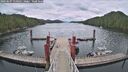 ./images/calvert/dock/20260607/dock20260607_150501M.jpg