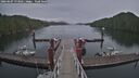 ./images/calvert/dock/20260607/dock20260607_173501M.jpg