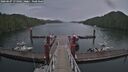 ./images/calvert/dock/20260607/dock20260607_175001M.jpg
