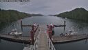./images/calvert/dock/20260607/dock20260607_180501M.jpg