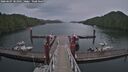 ./images/calvert/dock/20260607/dock20260607_181001M.jpg