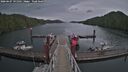 ./images/calvert/dock/20260607/dock20260607_191501M.jpg