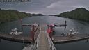 ./images/calvert/dock/20260607/dock20260607_192001M.jpg