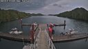 ./images/calvert/dock/20260607/dock20260607_193501M.jpg